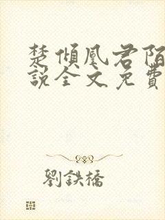 楚倾凰君陌尘小说全文免费阅读