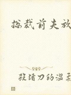 总裁前夫放了我