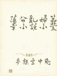 荡公乱妇第51章小说小莹
