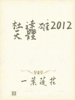 杜达雄2012天体