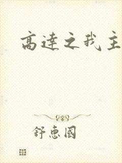 高达之我主沉浮