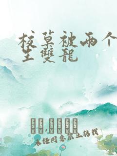 校草被两个体育生双龙