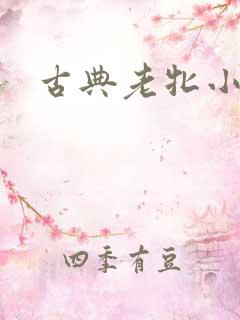 古典老牝小说