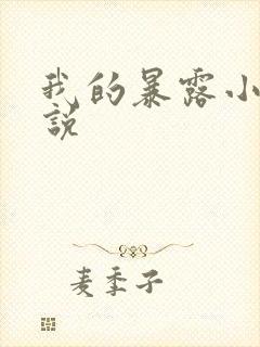 我的暴露小说小说