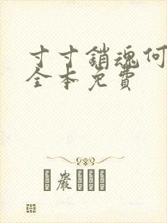 寸寸销魂何生祥全本免费