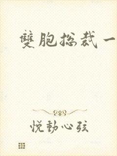 双胞总裁一个妻