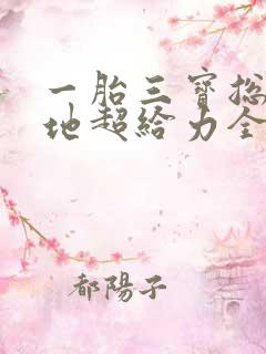 一胎三宝总裁爹地超给力全文免费阅读