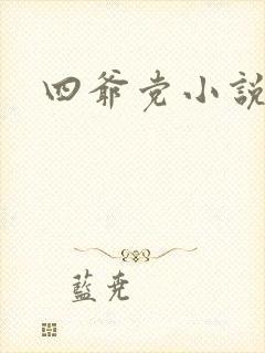 四爷党小说
