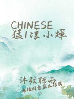 CHINESE猛1浪小辉