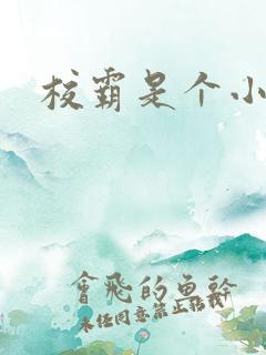 校霸是个小妖精