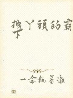 拽丫头的霸道殿下