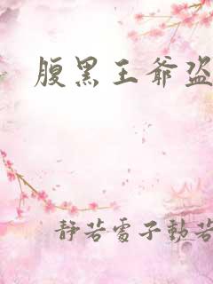 腹黑王爷盗墓妃