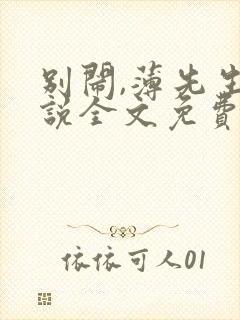 别闹,薄先生小说全文免费阅读