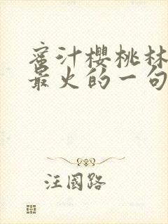 蜜汁樱桃林妙妙最火的一句