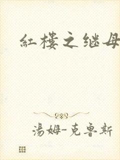 红楼之继母不易