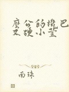 么公的机巴又粗又硬小莹