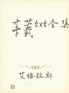 寸芒txt全集下载