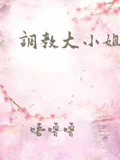 调教大小姐