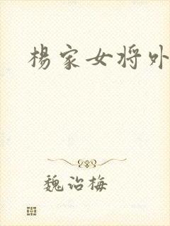杨家女将外传