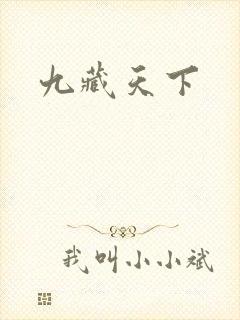 九藏天下