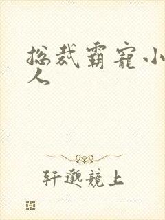 总裁霸宠小小女人