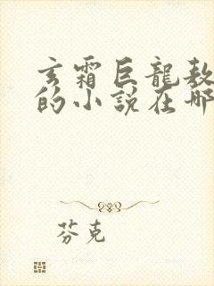 玄霜巨龙敖无极的小说在哪里看