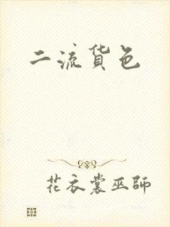二流货色