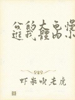 公的大龟慢慢挺进我体内小说