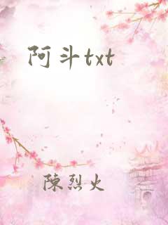阿斗txt