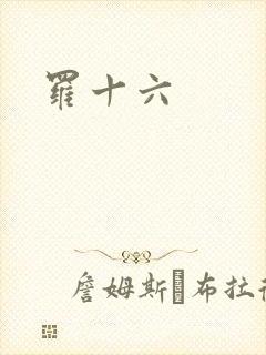 罗十六