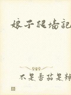 娘子爬墙记