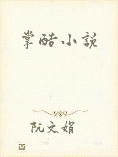 掌酷小说