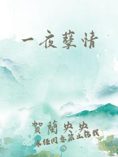 一夜孽情