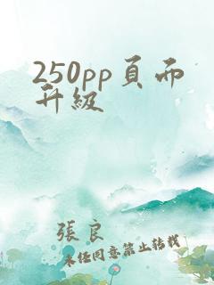 250pp页面升级