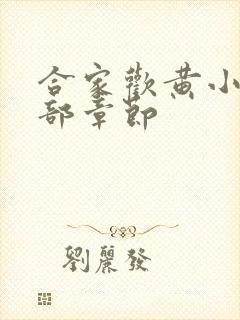 合家欢黄小梅全部章节