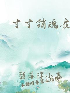 寸寸销魂夜春光