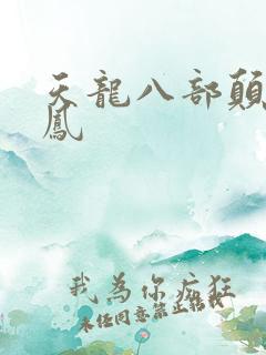 天龙八部颠龙鸾凤