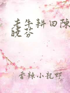 老牛耕田陈雪杨晓芬