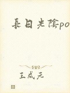 长日光阴po