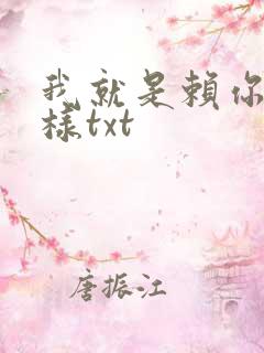 我就是赖你 怎样txt