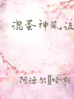 混蛋神风流史补