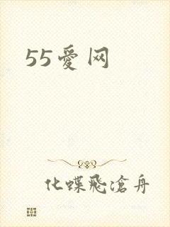 55爱网