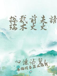 总裁前夫请自重端木火火