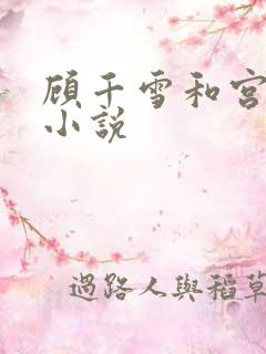 顾千雪和宫凌沨小说