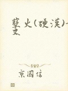 孽火(硬汉)今又