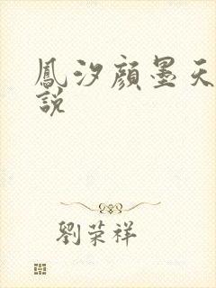 凤汐颜墨天问小说