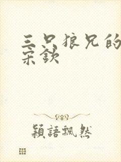 三只狼兄的宠妻宋钦