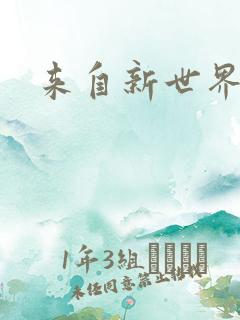 来自新世界小说