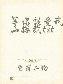 等你说爱我之冰山总裁txt