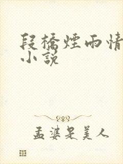 段桥烟雨情难离小说